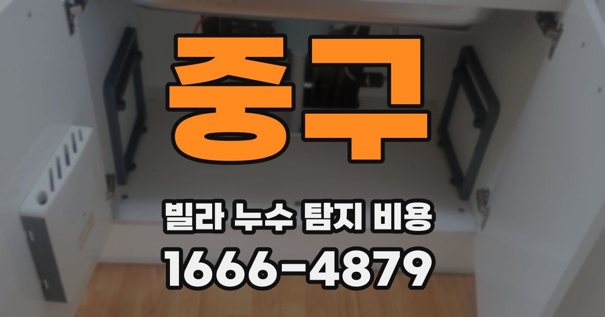 중구 빌라 누수 탐지 비용