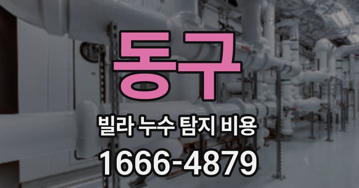 동구 빌라 누수 탐지 비용