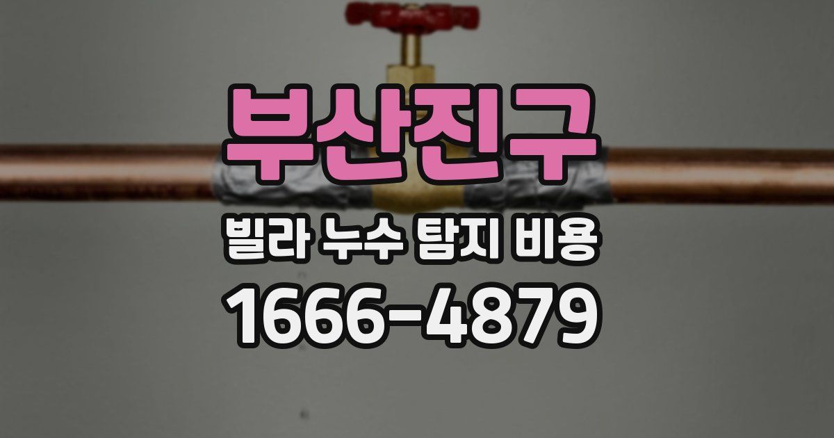 부산진구 빌라 누수 탐지 비용