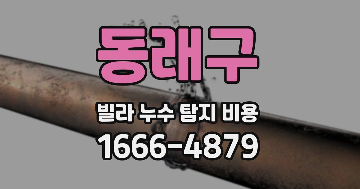 동래구 빌라 누수 탐지 비용