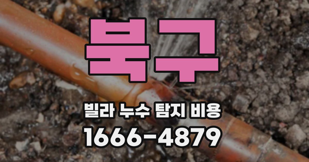 북구 빌라 누수 탐지 비용