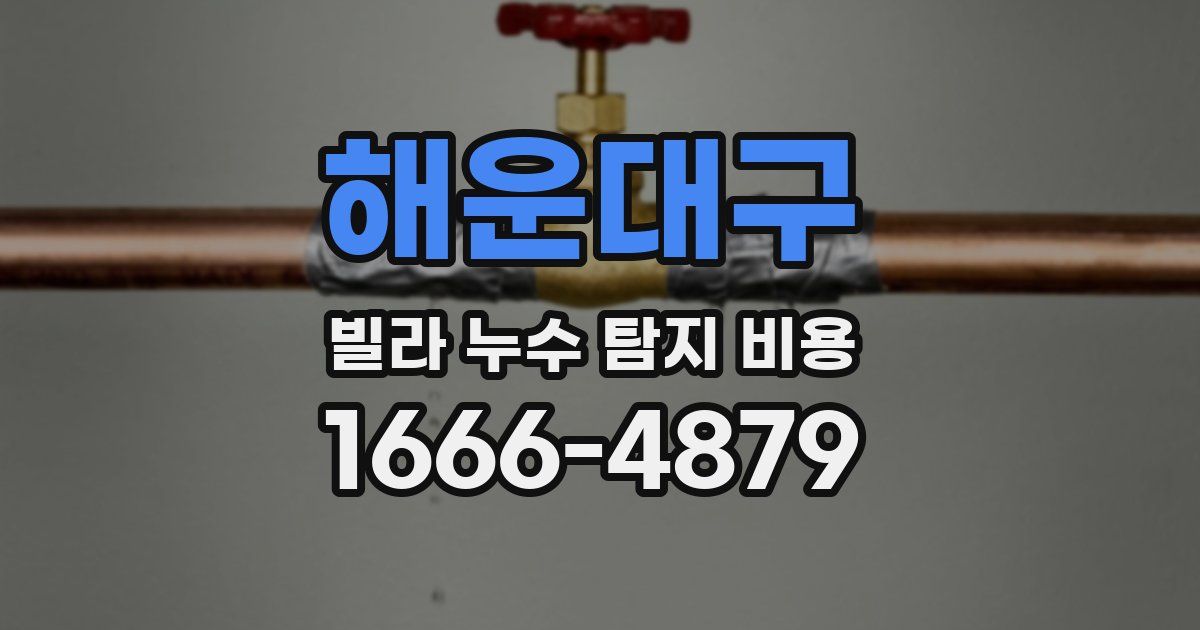 해운대구 빌라 누수 탐지 비용