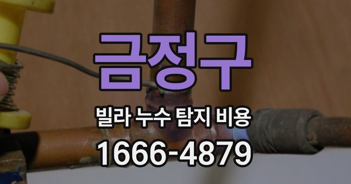 금정구 빌라 누수 탐지 비용