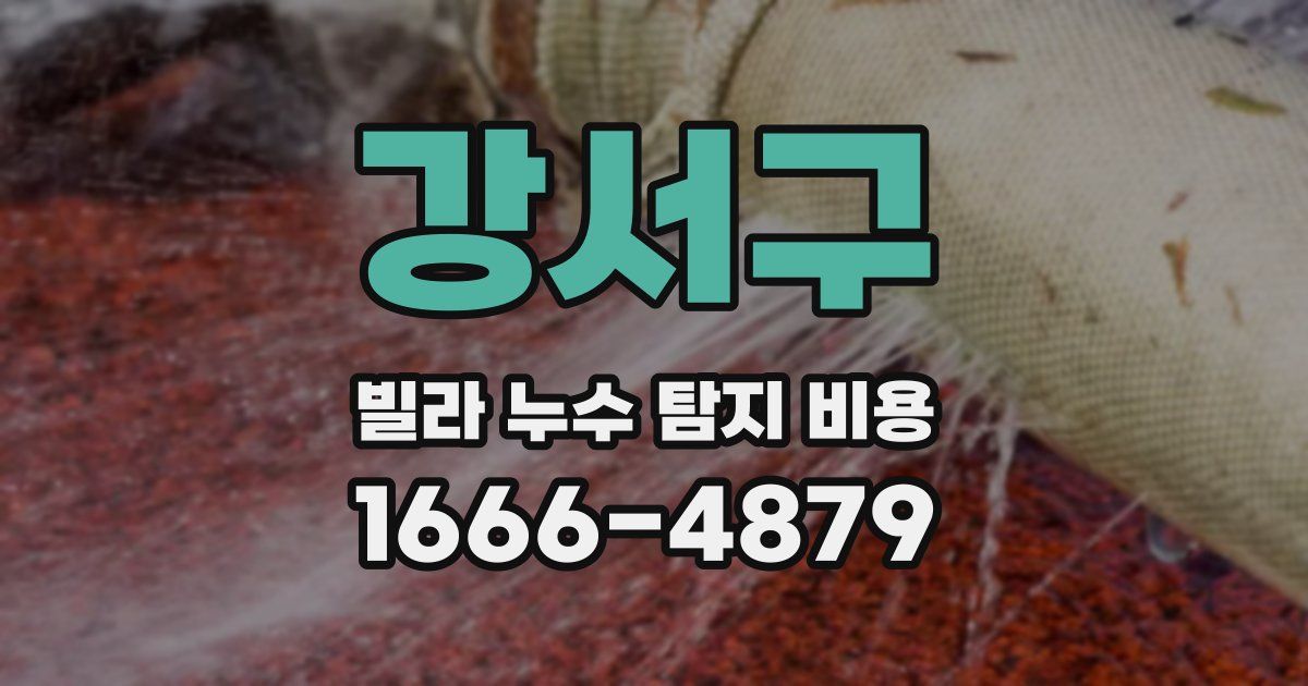 강서구 빌라 누수 탐지 비용