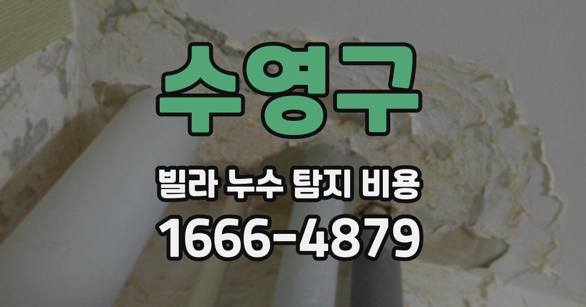 수영구 빌라 누수 탐지 비용