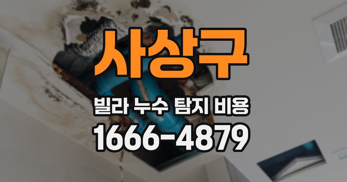 사상구 빌라 누수 탐지 비용