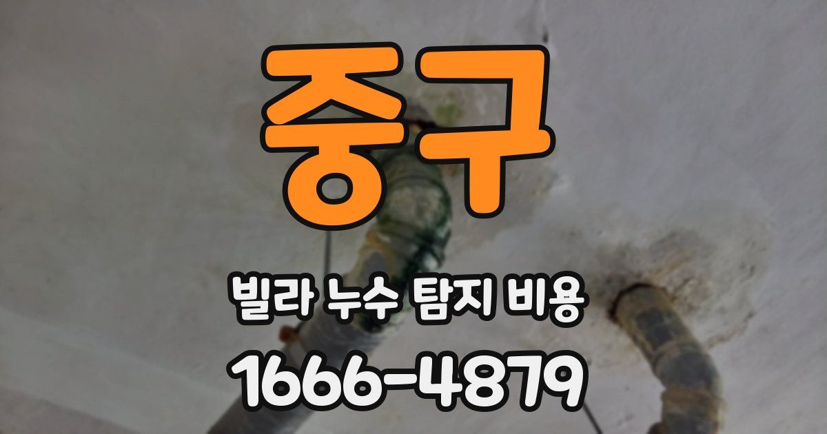 중구 빌라 누수 탐지 비용