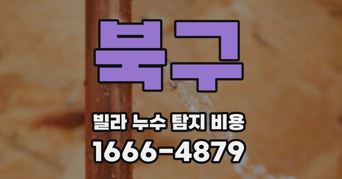 북구 빌라 누수 탐지 비용