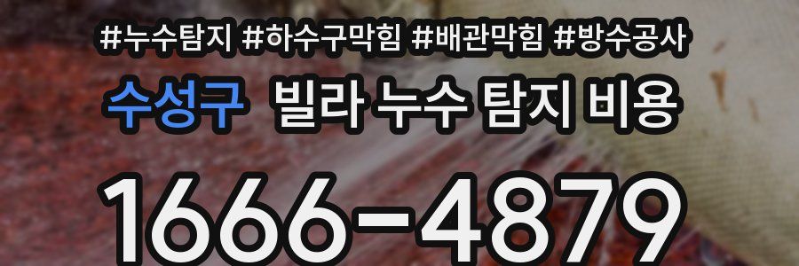 수성구 빌라 누수 탐지 비용