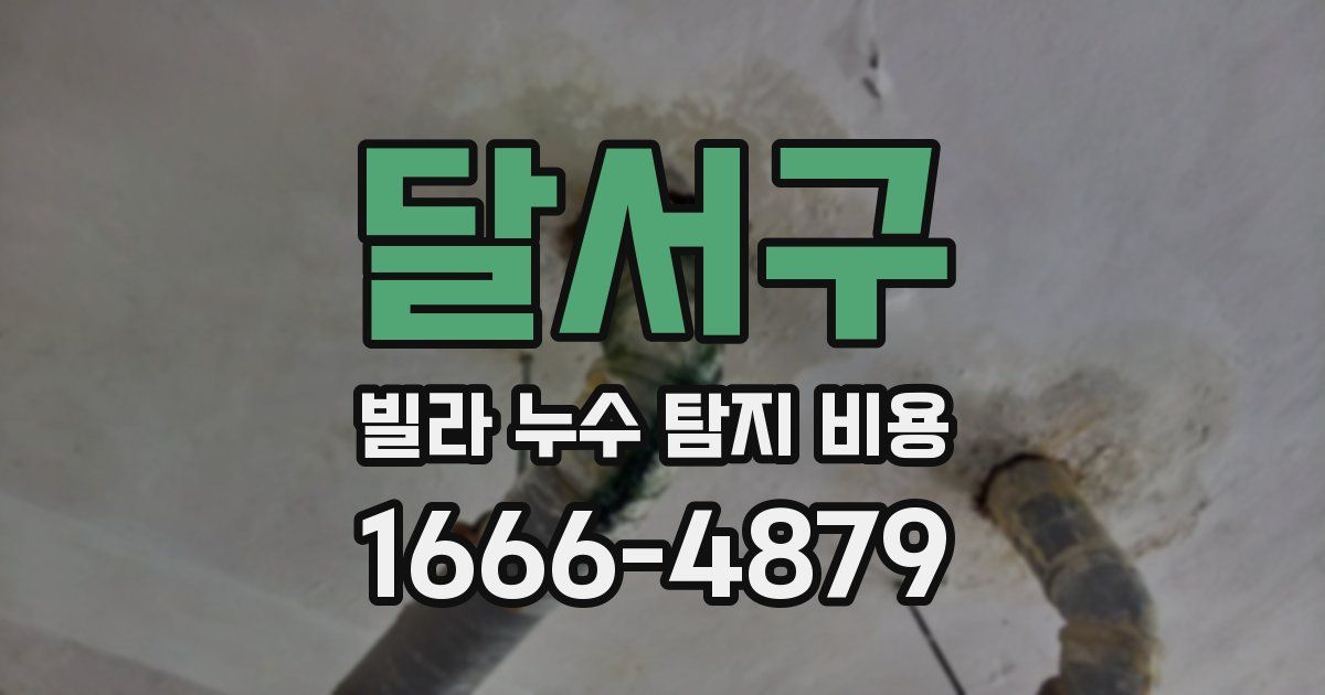 달서구 빌라 누수 탐지 비용
