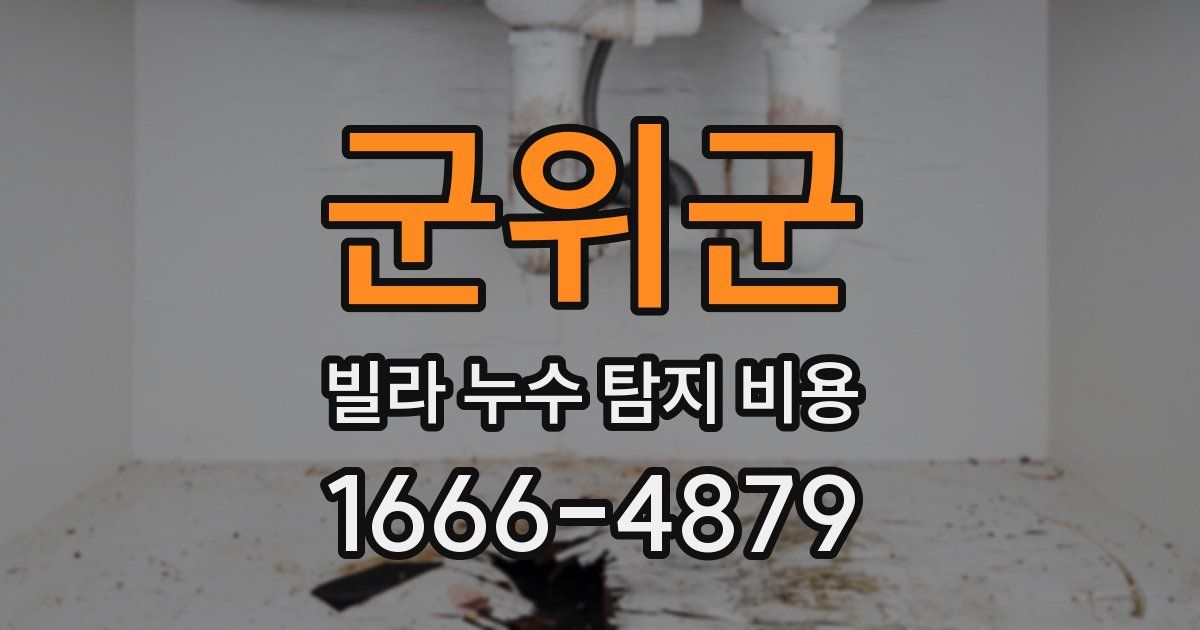군위군 빌라 누수 탐지 비용