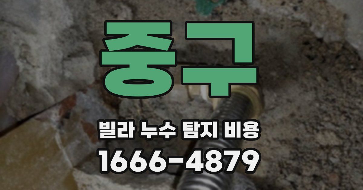 중구 빌라 누수 탐지 비용
