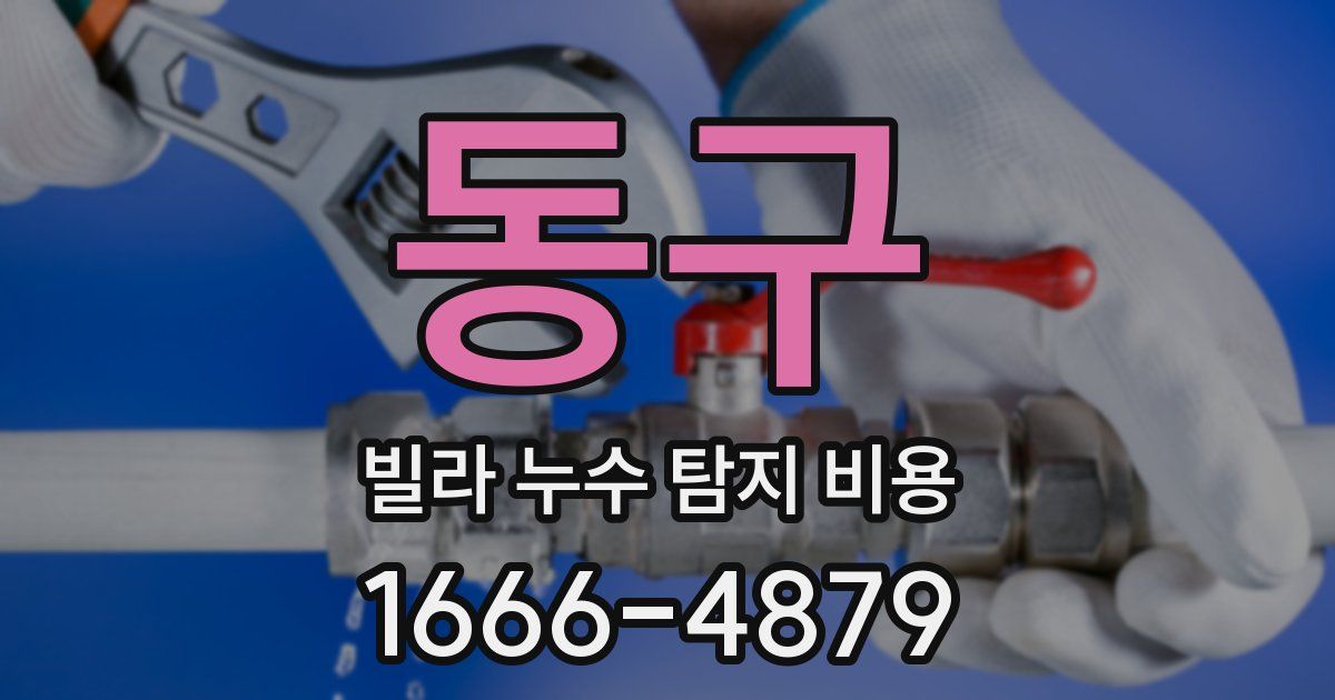 동구 빌라 누수 탐지 비용