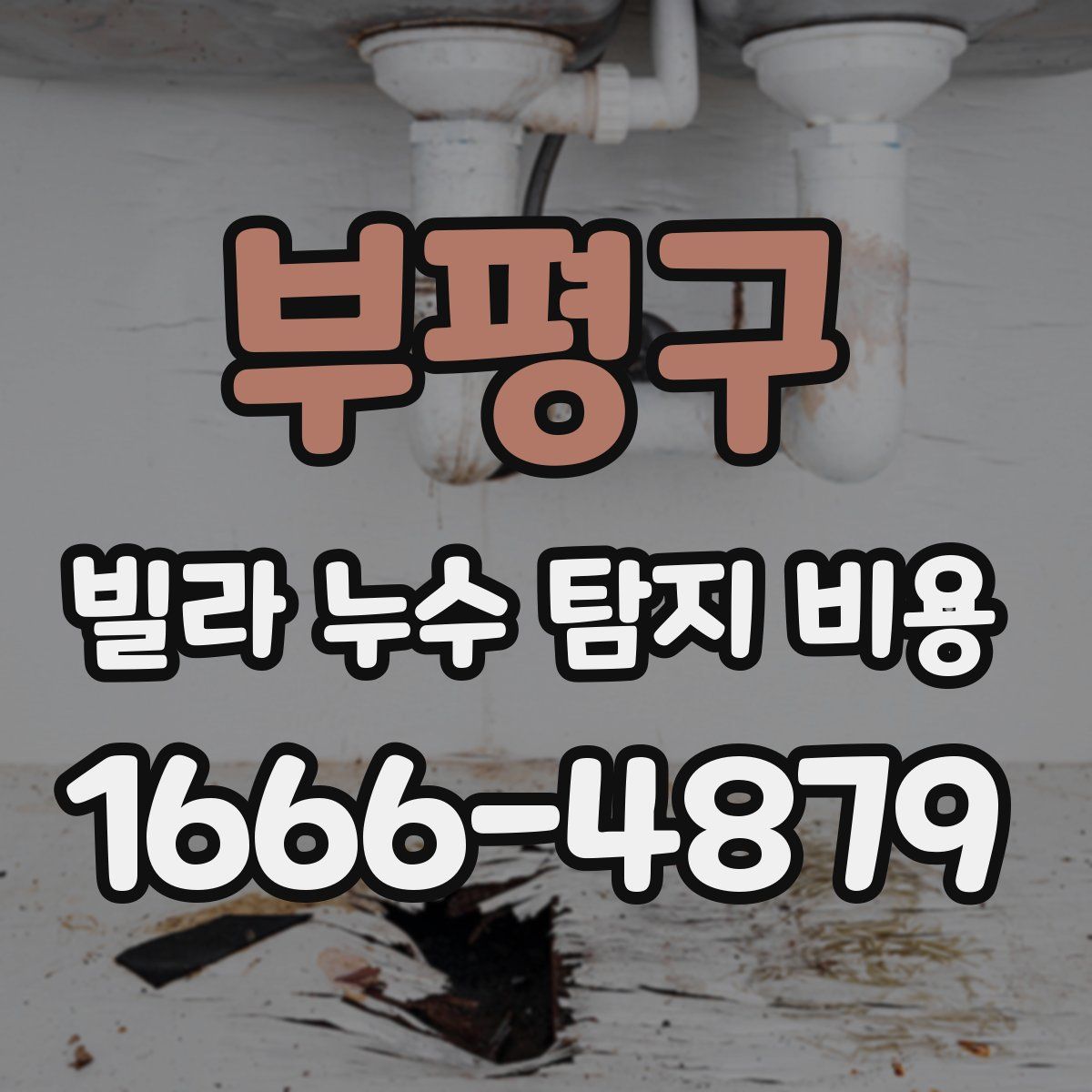 부평구 빌라 누수 탐지 비용