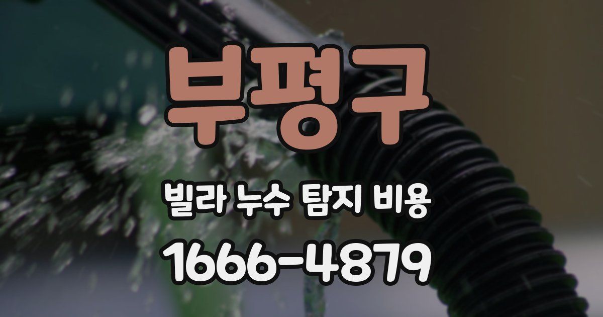 부평구 빌라 누수 탐지 비용