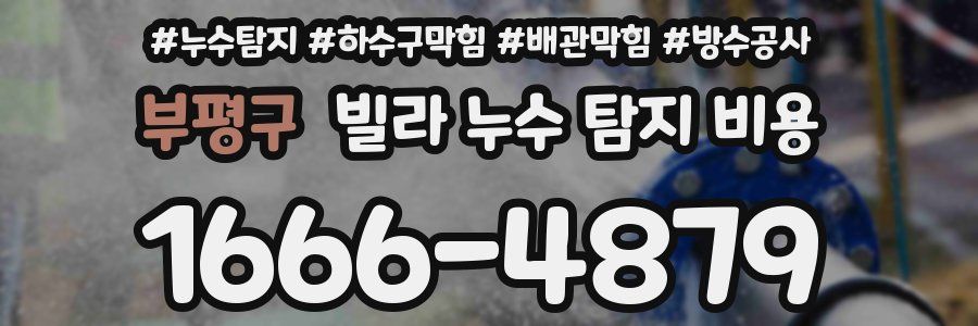부평구 빌라 누수 탐지 비용