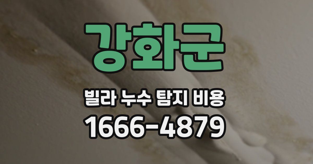 강화군 빌라 누수 탐지 비용
