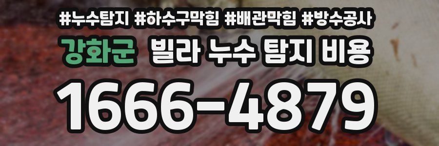 강화군 빌라 누수 탐지 비용