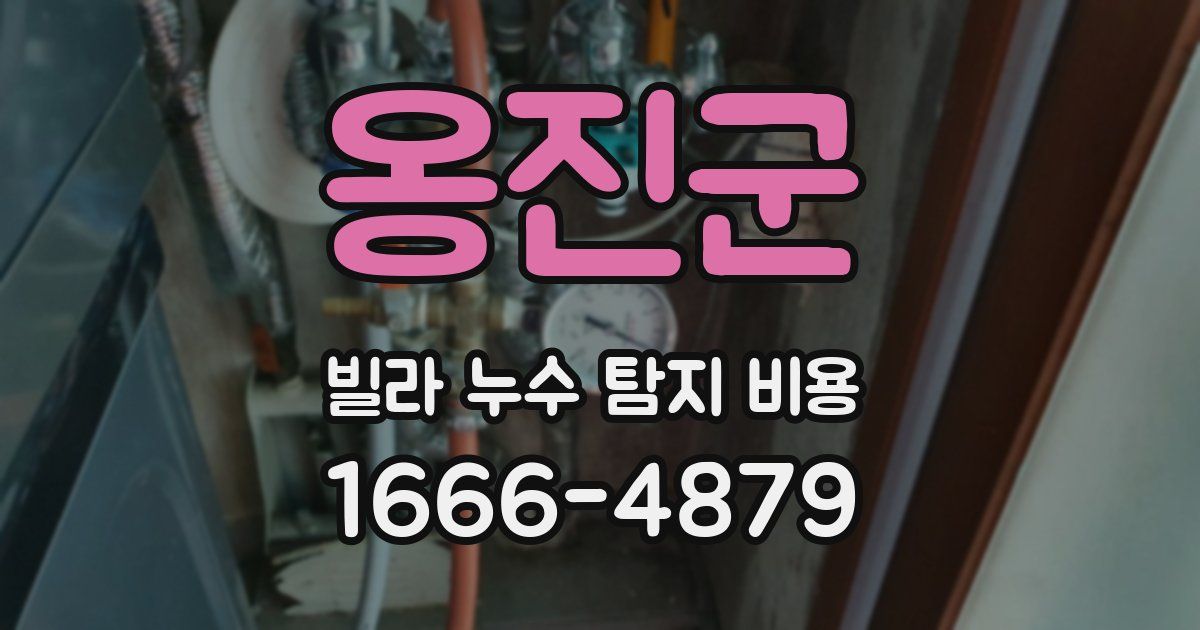 옹진군 빌라 누수 탐지 비용