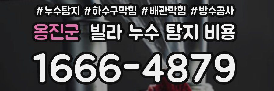옹진군 빌라 누수 탐지 비용