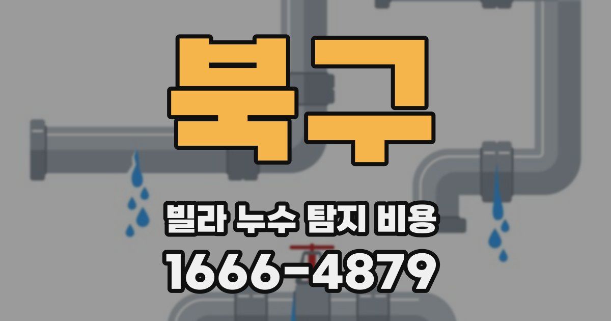 북구 빌라 누수 탐지 비용