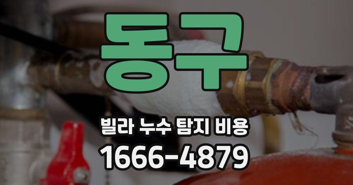 동구 빌라 누수 탐지 비용
