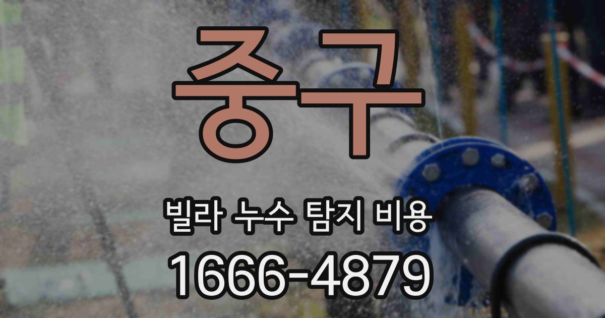 중구 빌라 누수 탐지 비용