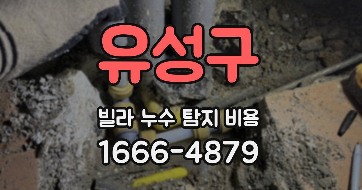 유성구 빌라 누수 탐지 비용
