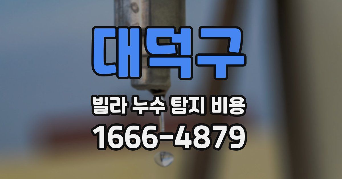 대덕구 빌라 누수 탐지 비용