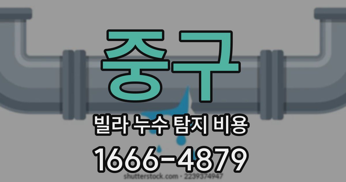 중구 빌라 누수 탐지 비용