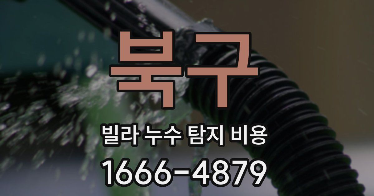 북구 빌라 누수 탐지 비용