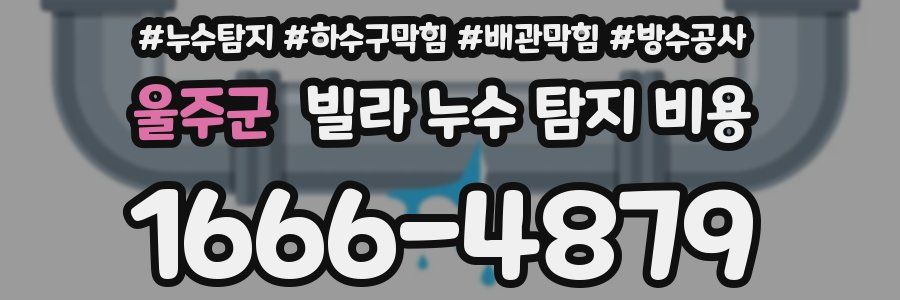 울주군 빌라 누수 탐지 비용