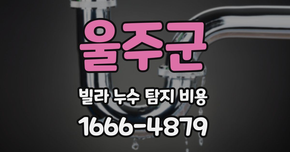 울주군 빌라 누수 탐지 비용