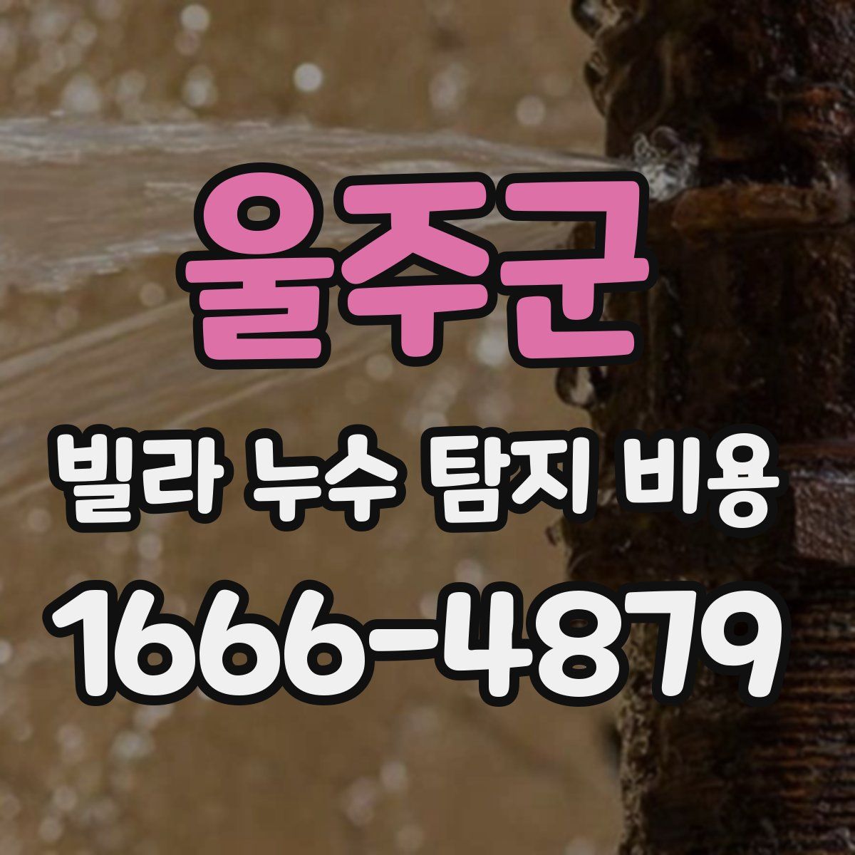 울주군 빌라 누수 탐지 비용