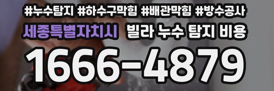 세종특별자치시 빌라 누수 탐지 비용