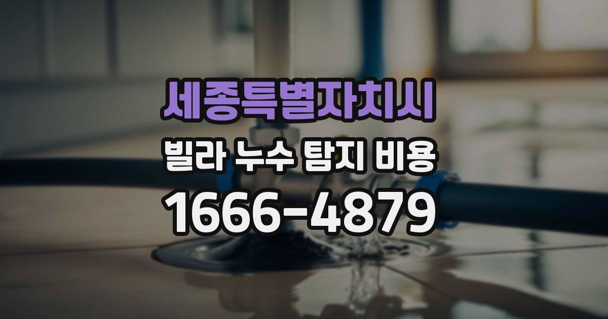 세종특별자치시 빌라 누수 탐지 비용