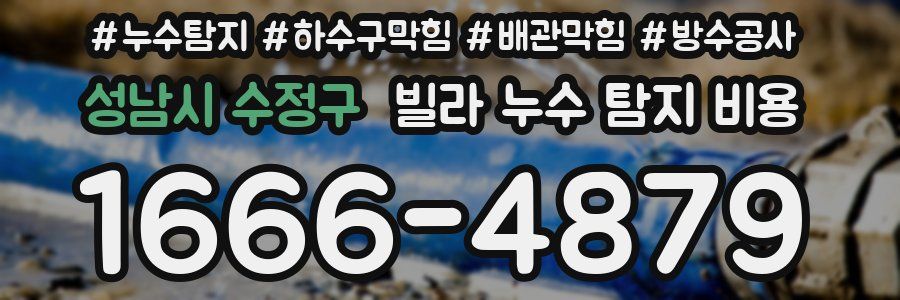 성남시 수정구 빌라 누수 탐지 비용