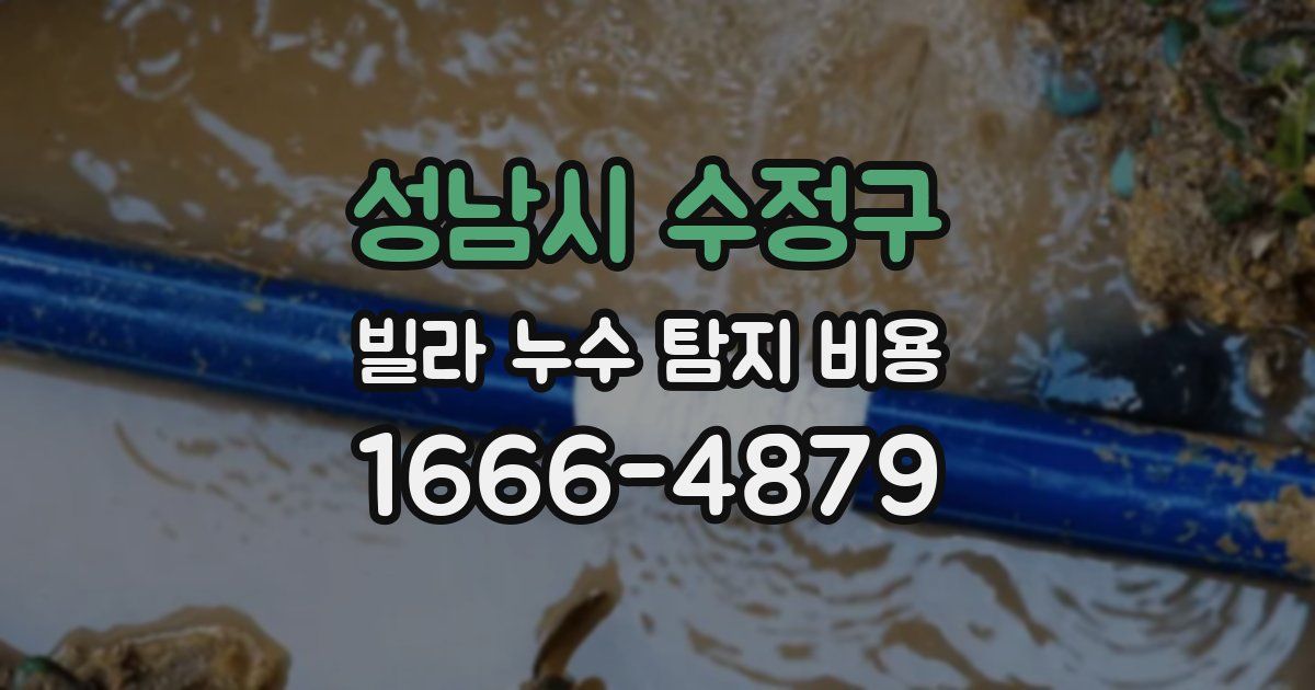 성남시 수정구 빌라 누수 탐지 비용
