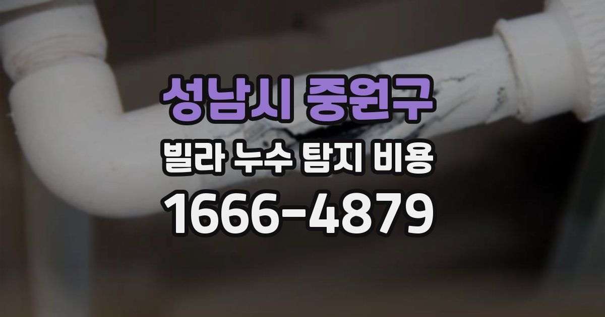 성남시 중원구 빌라 누수 탐지 비용