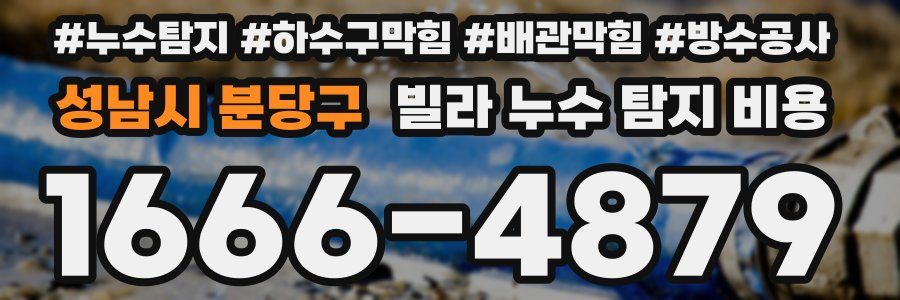 성남시 분당구 빌라 누수 탐지 비용
