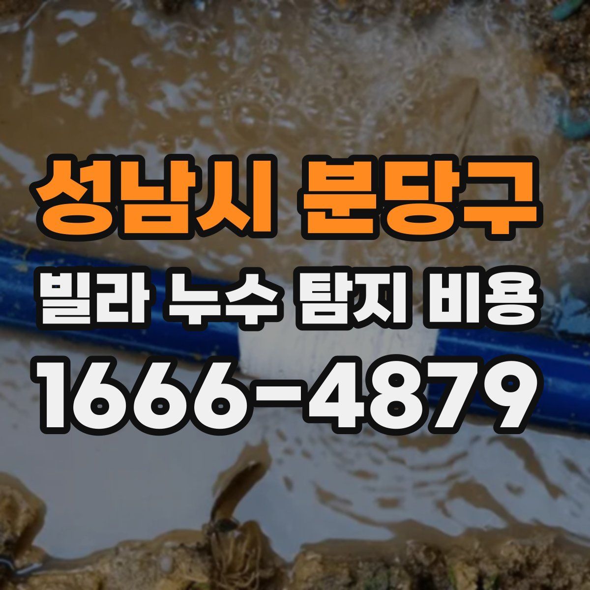 성남시 분당구 빌라 누수 탐지 비용