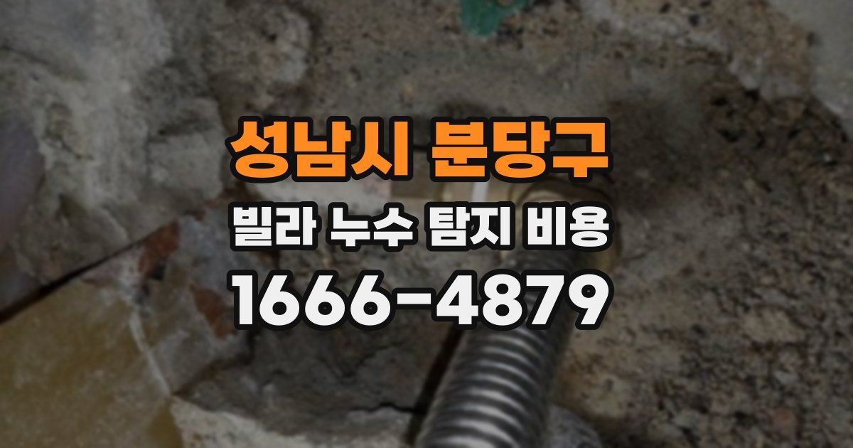 성남시 분당구 빌라 누수 탐지 비용