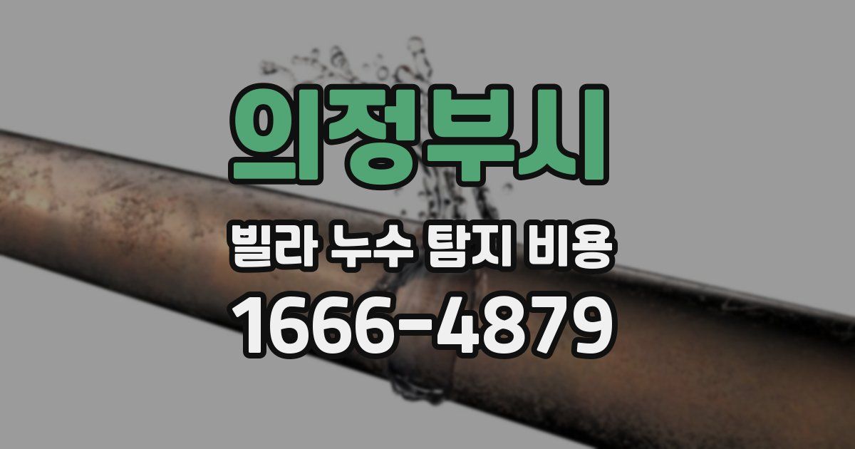 의정부시 빌라 누수 탐지 비용