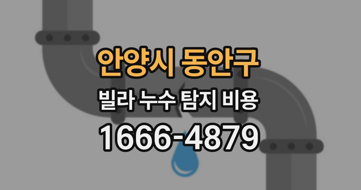 안양시 동안구 빌라 누수 탐지 비용
