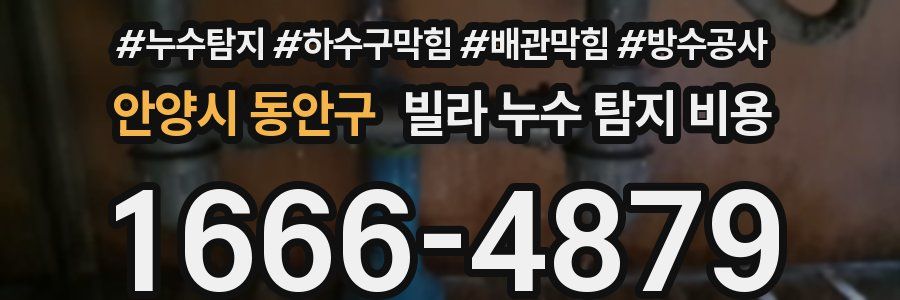 안양시 동안구 빌라 누수 탐지 비용