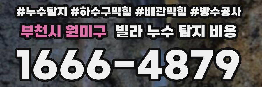 부천시 원미구 빌라 누수 탐지 비용