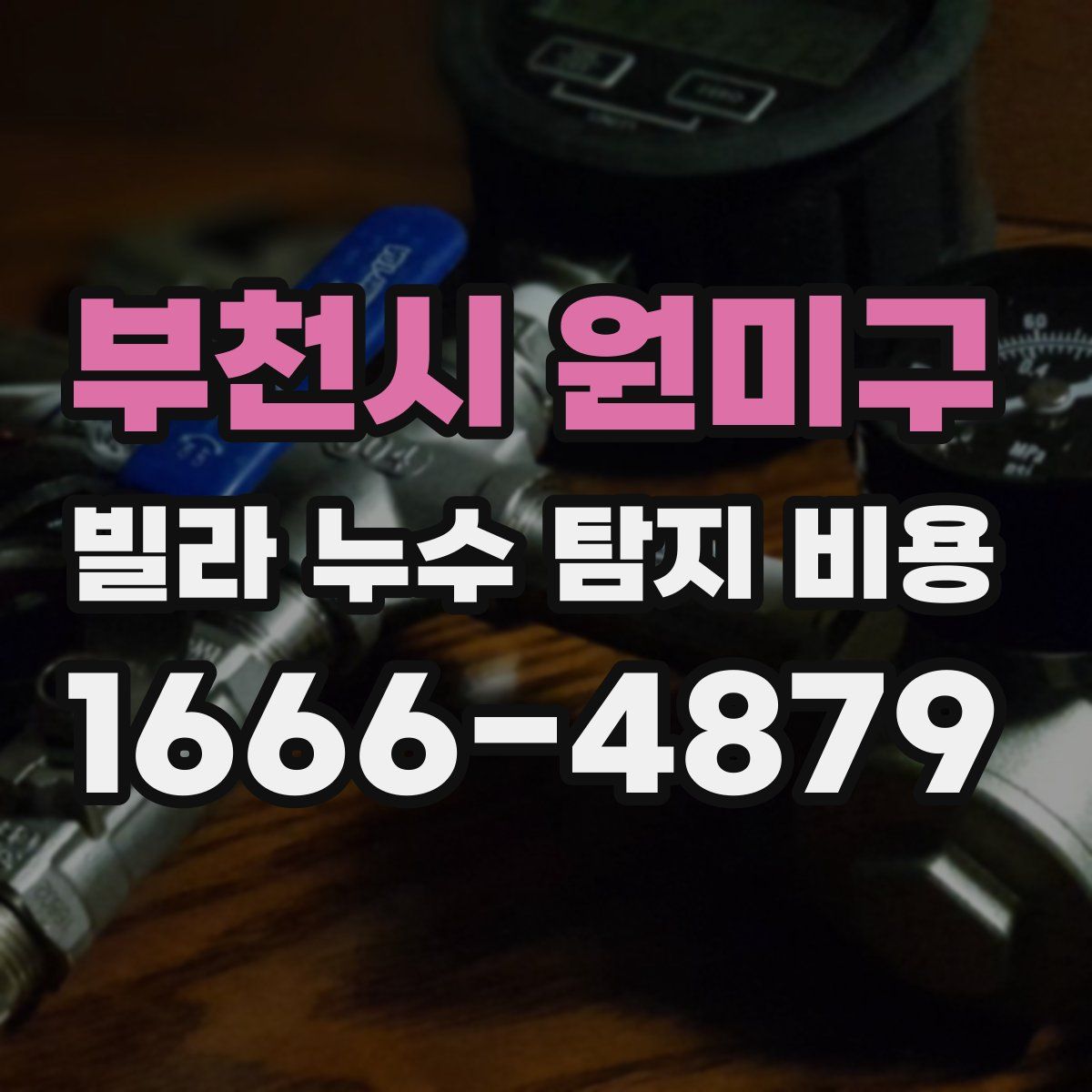 부천시 원미구 빌라 누수 탐지 비용