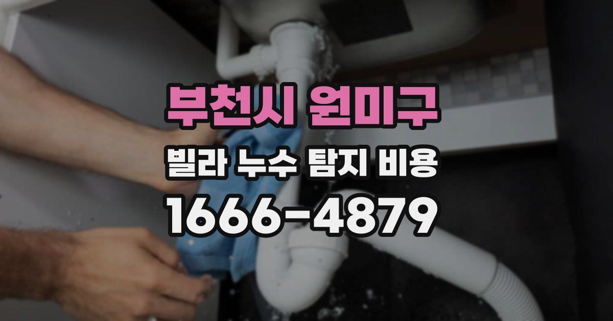 부천시 원미구 빌라 누수 탐지 비용