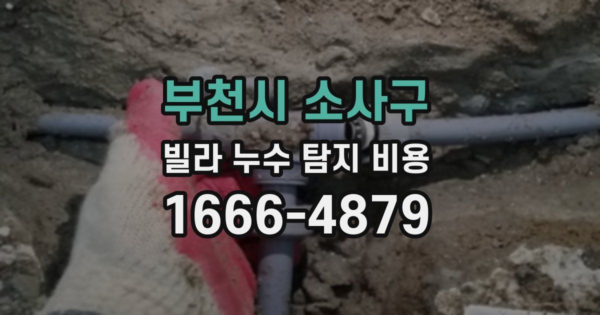 부천시 소사구 빌라 누수 탐지 비용