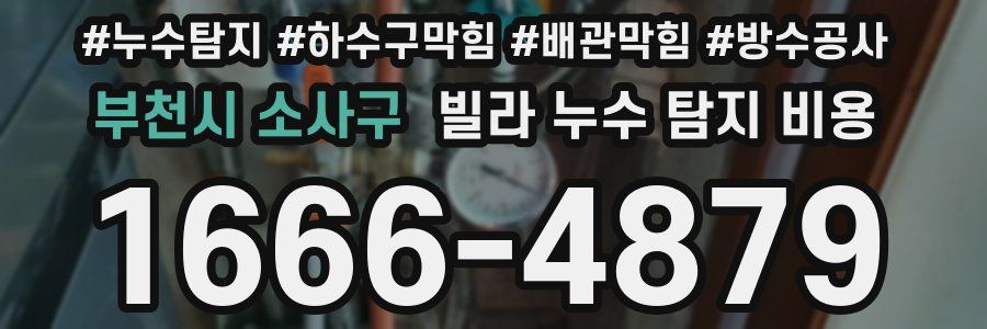 부천시 소사구 빌라 누수 탐지 비용